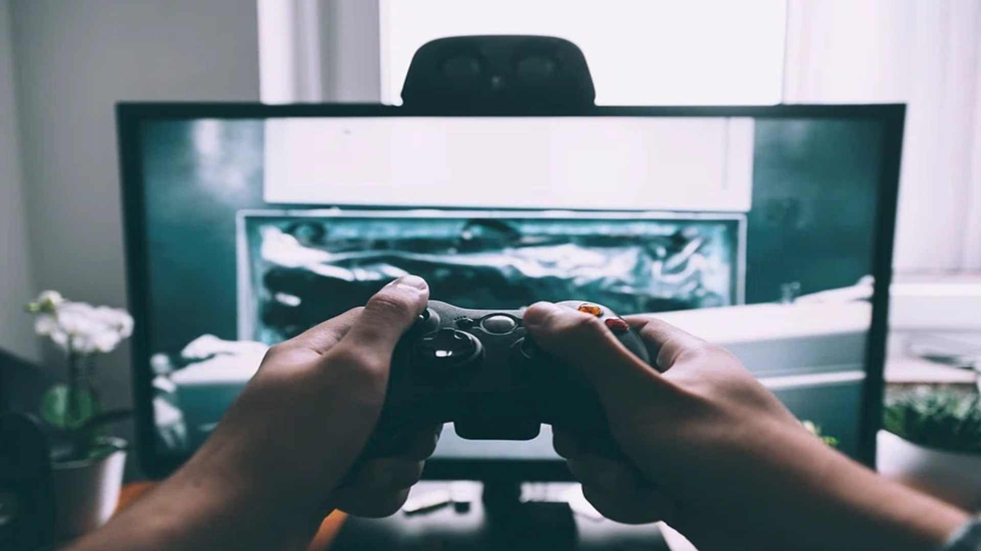 Under A Rock Release Date Latest News And Expected Launch Details